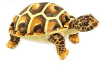 Thumbnail for Tortoise Turtle Soft Stuffed Plush Toy